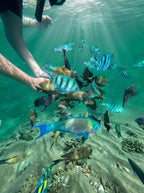 Diveluma Pro™ Underwater Camera Mask